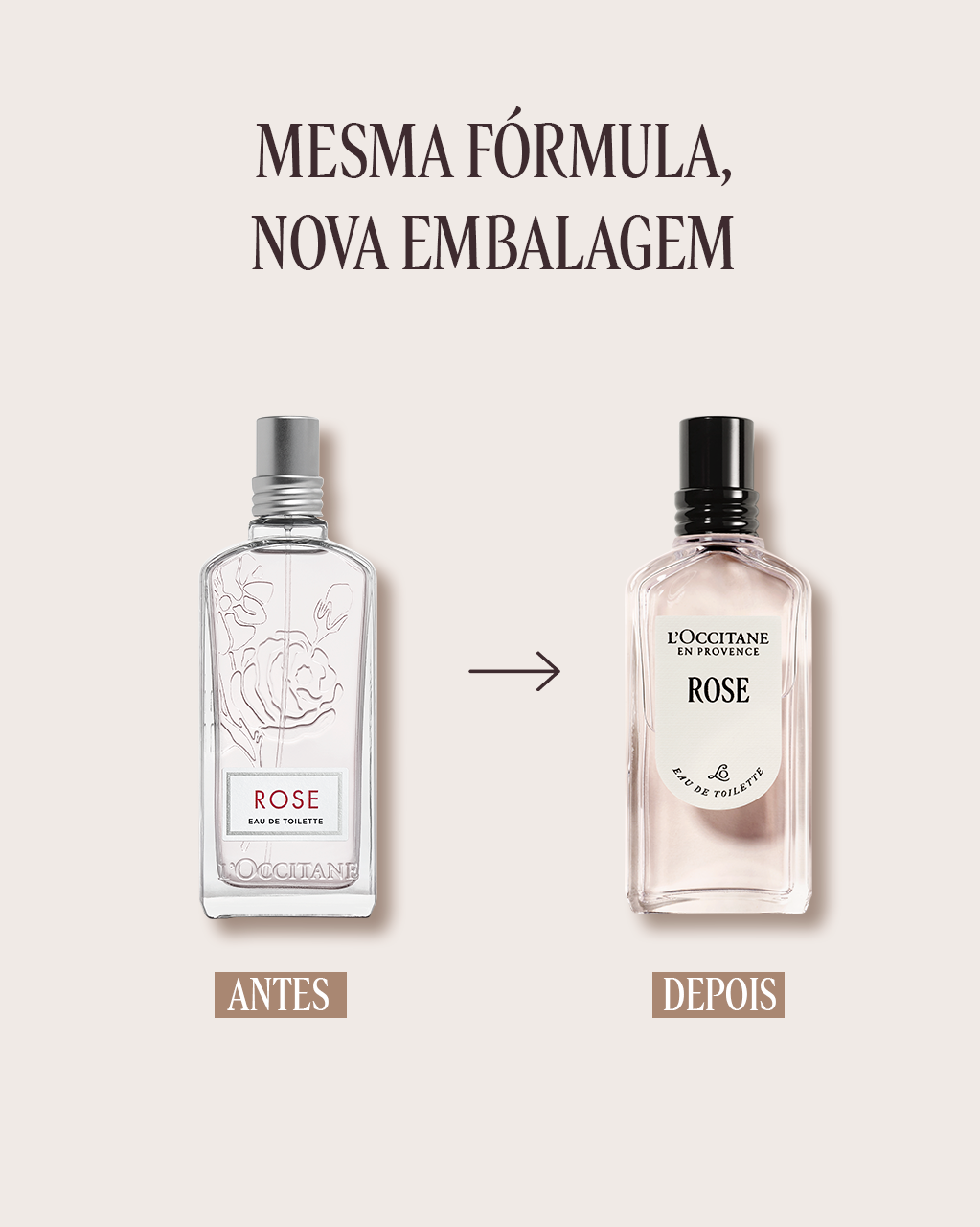 Eau de Toilette Rose 50mL (Rosas) | L'Occitane en Provence